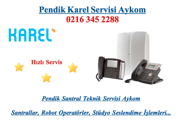 Pendik Karel Servisi